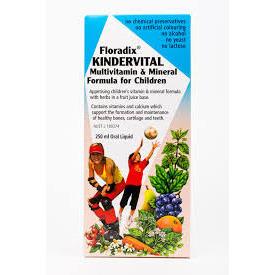 Floradix Kindervital 250ml