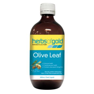 Herbs of Gold Olive Leaf 500ml