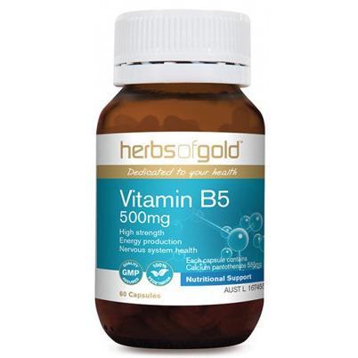 Herbs of Gold Vitamin B5 500mg 60vc